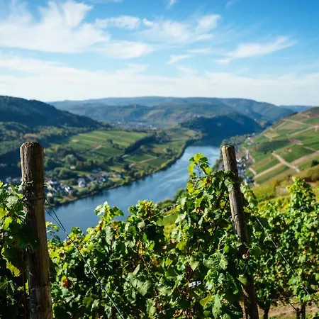 Haus Hanghuhn شقة *