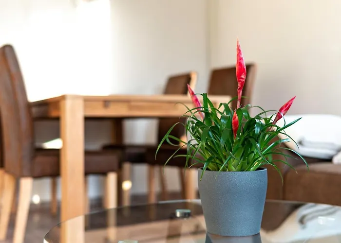 Lägenhet Haus Hanghuhn